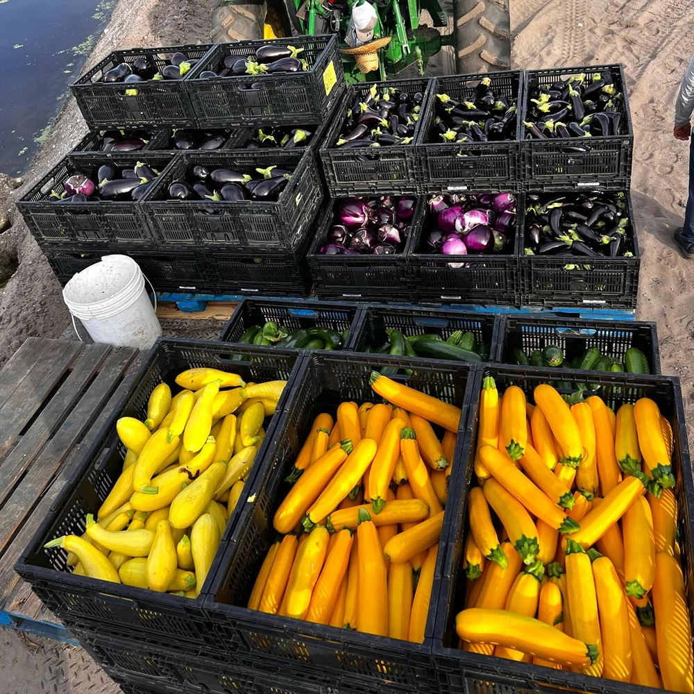 Photo Gallery Bedner s Farm Fresh Market