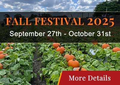 Fall Festival 2025